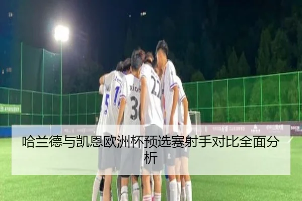 哈兰德与凯恩欧洲杯预选赛射手对比全面分析